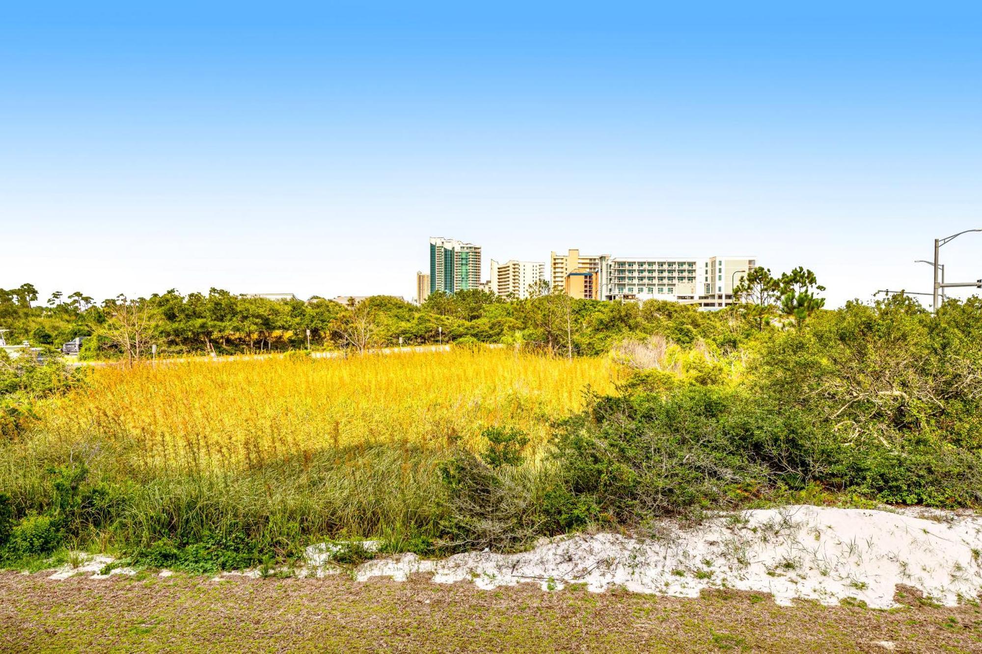 Grande Caribbean Apartment Orange Beach Room photo